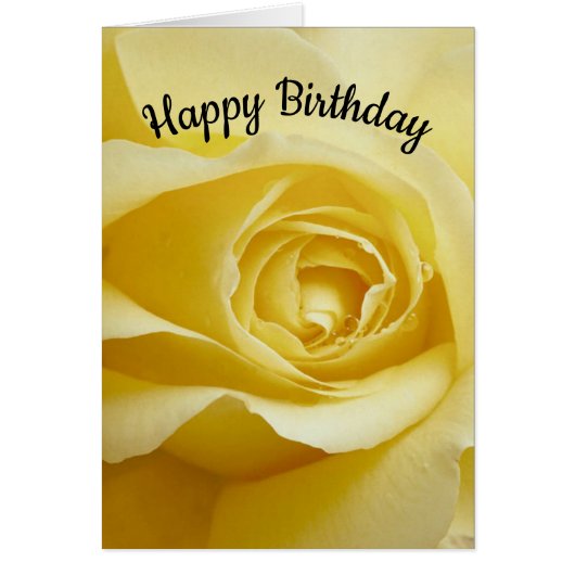 Yellow Rose Birthday, lover of beauty (Front)
