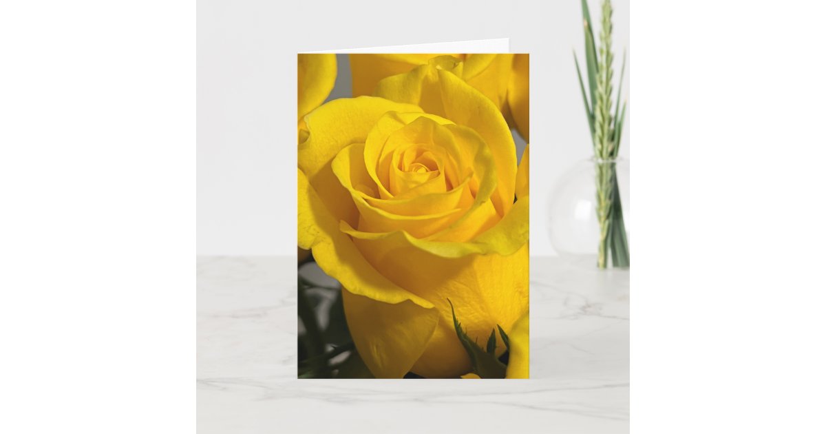 Yellow Rose Blank Note Card | Zazzle