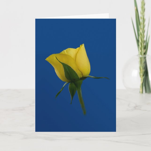Yellow Rose Blank Note or Greeting Card (Front)