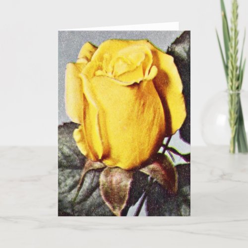 Yellow Rose Blank Texas Greeting Card