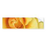 Yellow Rose Blossom Bumper Sticker