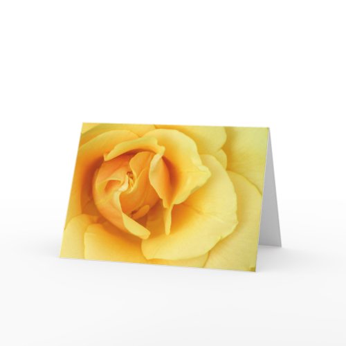 Yellow Rose Blossom Greeting Card