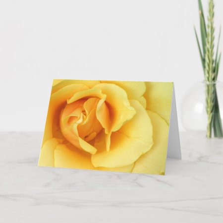 Yellow Rose Blossom Greeting Card