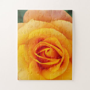 yellow rose blossom jigsaw puzzle