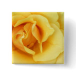 Yellow Rose Blossom Square Button