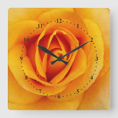 yellow rose blossom square wall clock