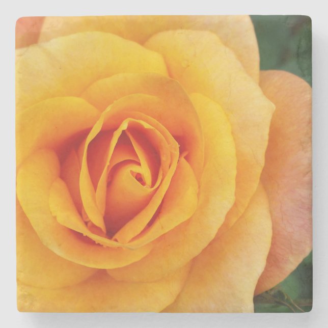 yellow rose blossom stone coaster (Front)