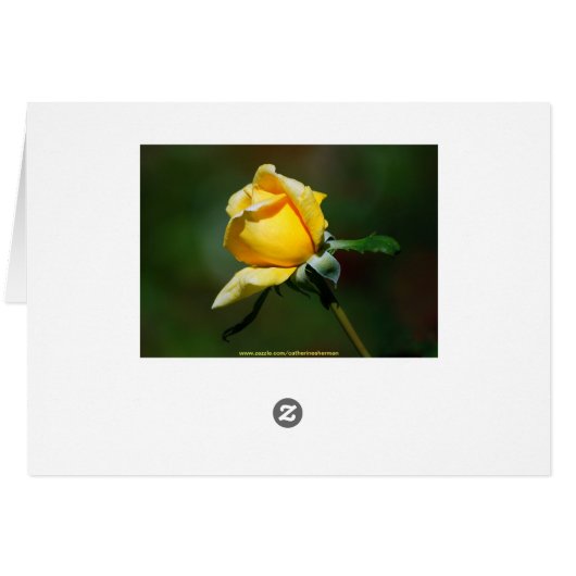 Yellow Rose Bud (Back Horizontal)