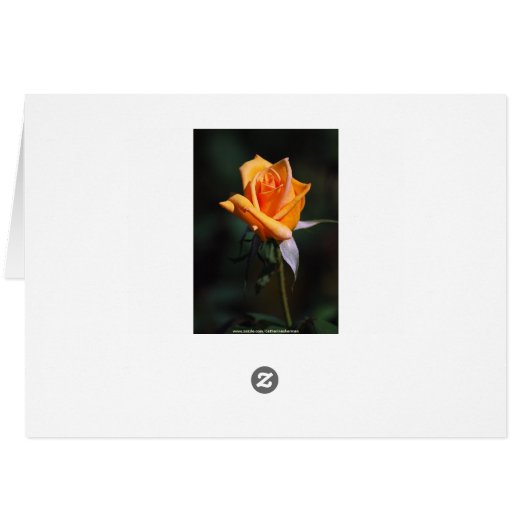 Yellow Rose Bud Card (Back Horizontal)