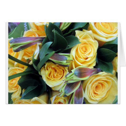 Yellow Rose Buds Cards (Front Horizontal)