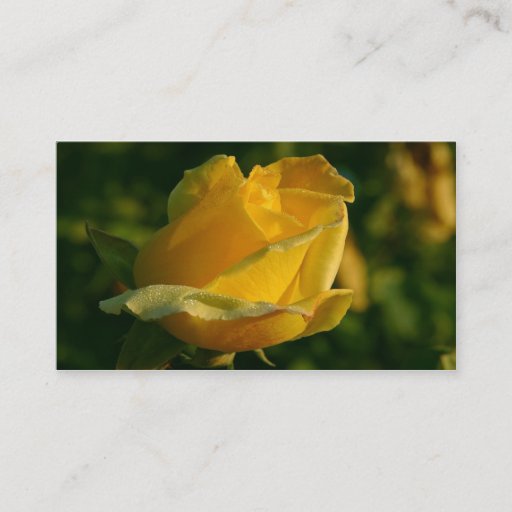 Customizable yellow rose business card