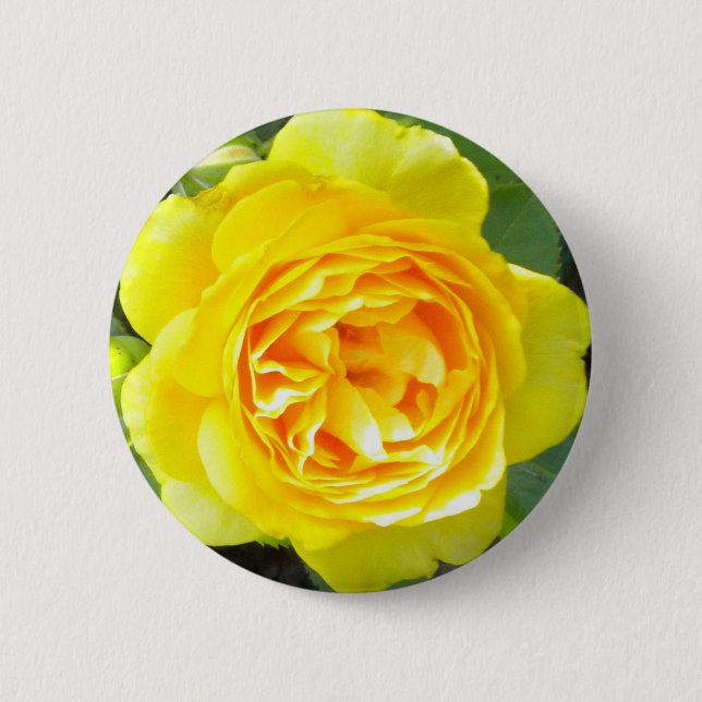 Yellow Rose Button (Front)