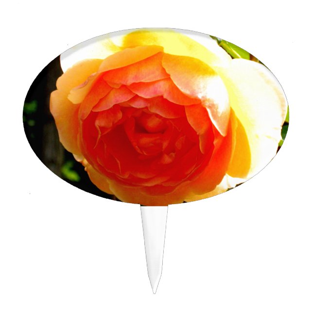 Yellow Rose Cake Topper (Front)