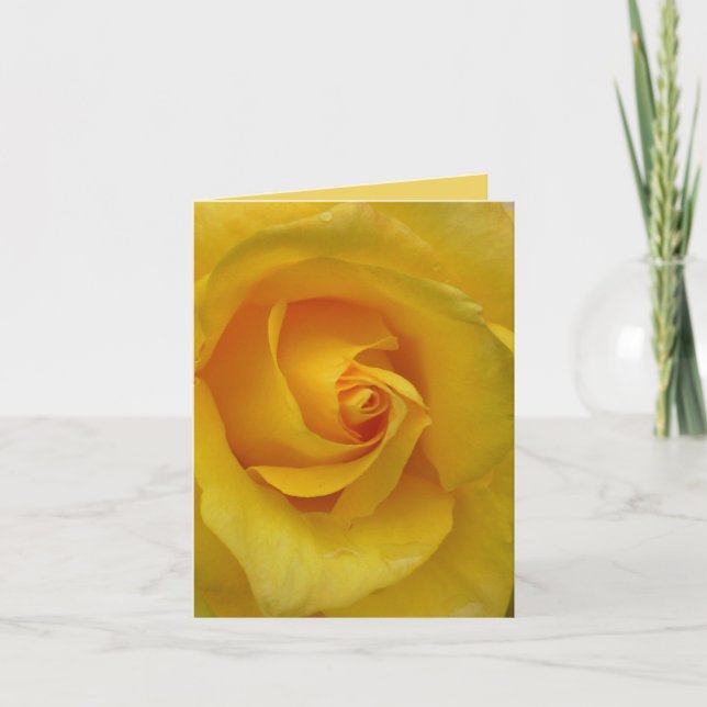 Yellow Rose Card Flowers Custom Greeting Cards (Front)