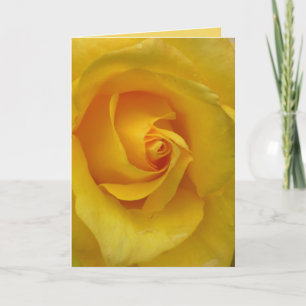 Yellow Rose Card Flowers Custom Greeting Cards