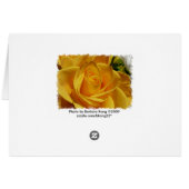 yellow rose cards (Back Horizontal)