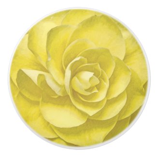 YELLOW ROSE 