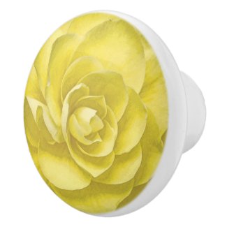 YELLOW ROSE 