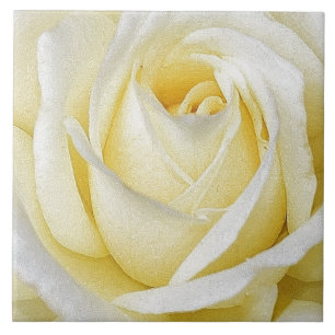 Yellow Rose Ceramic Tile