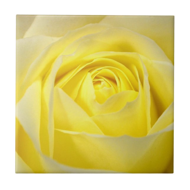 Yellow Rose Ceramic Tile (Front)