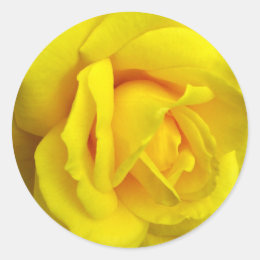 Yellow Rose Stickers | Zazzle