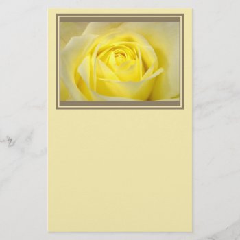 Yellow Rose Closeup Stationery by LeFlange at Zazzle