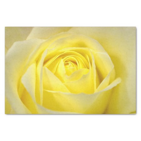 Yellow Rose Closeup Tissue Paper