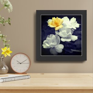 Yellow Rose Cluster Black And White Floral Framed Art