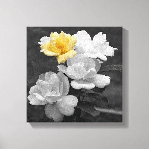 Yellow Rose Cluster Partial Color  Canvas Print