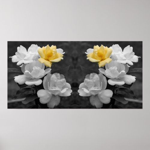 Yellow Rose Cluster Partial Color Mirror Abstract Poster