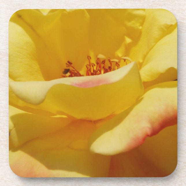 Yellow Rose Coasters (Front)