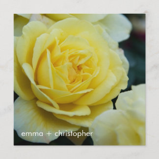 Yellow Rose DSC3677 Save The Date