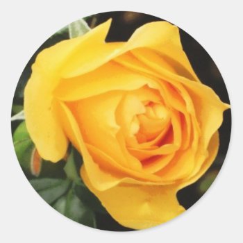 'yellow Rose' Envelope Seal by cathie10 at Zazzle