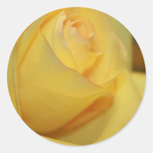 Yellow Rose Envelope Seal Stickers