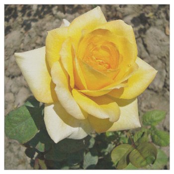 Yellow Rose Fabric by LifeCollection at Zazzle