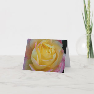 Yellow Rose Fine Art Photography Folded Note Cards