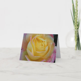 Yellow Rose Fine Art Photography Folded Note Cards
