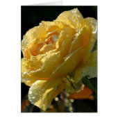 Yellow Rose Floral 6 (Front)