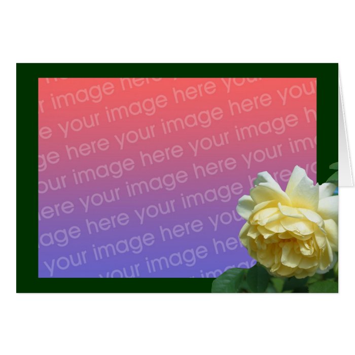 Yellow Rose Floral Photo Card