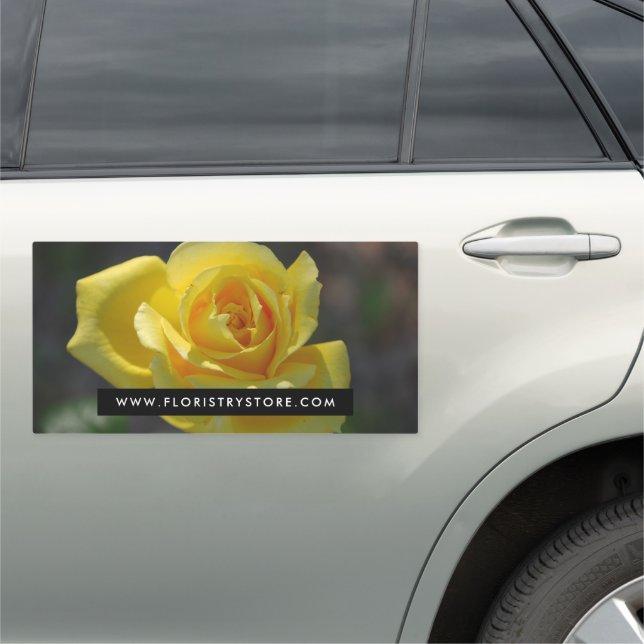 Yellow Rose, Floristry Car Magnet (In Situ)
