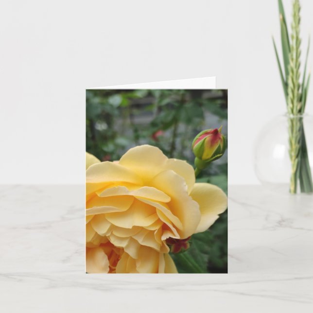 Yellow rose flower card (Front)
