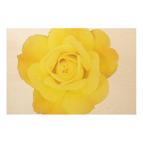 Yellow Rose Flower Floral Fine Art Abstract Gift