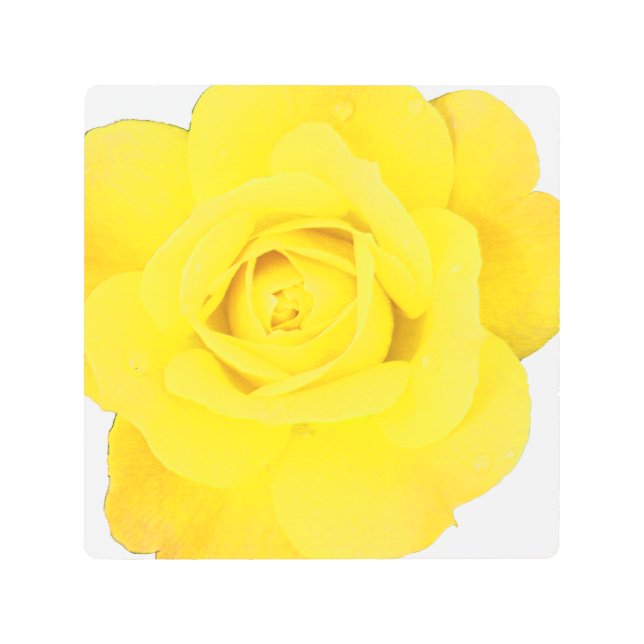 Yellow Rose Flower Floral Fine Art Abstract Gift (Front)