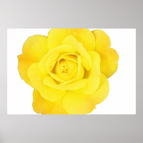 Yellow Rose Flower Floral Fine Art Abstract Gift Poster
