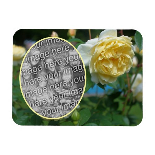 Yellow Rose Flower Frame Create Your Own Photo Magnet