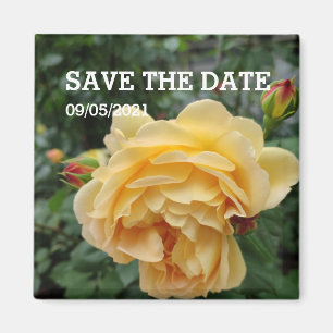Yellow rose flower magnet