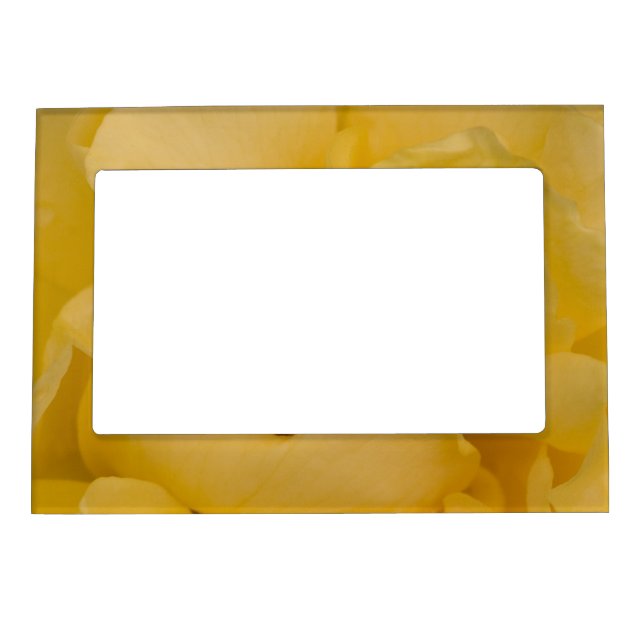 Yellow Rose Flower Magnetic Photo Frame (Front)