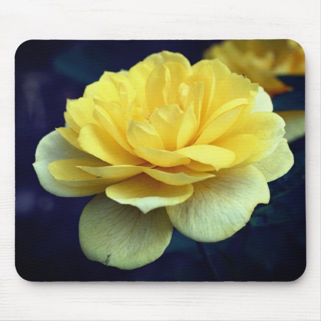 Yellow Rose Flower  Mouse Pad (Front)