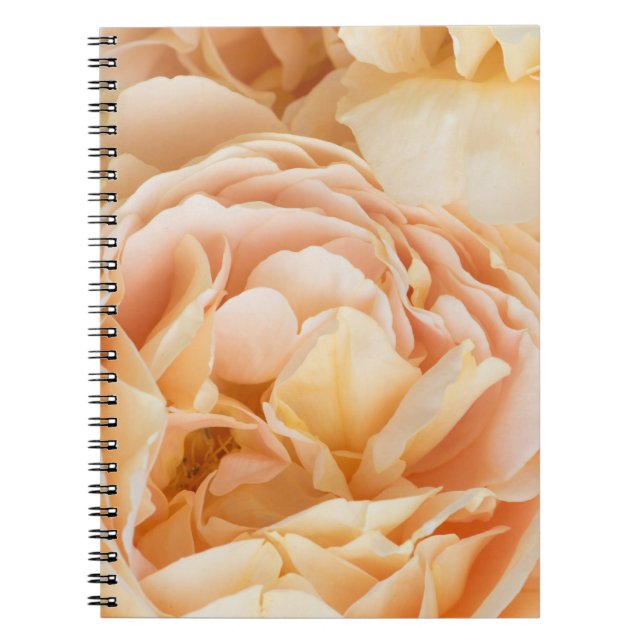 Yellow rose flower notebook (Front)