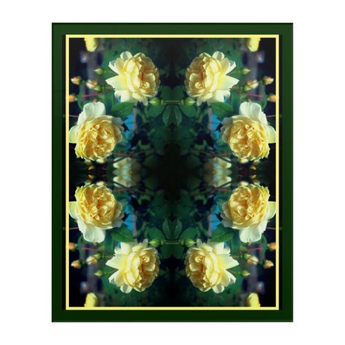 Yellow Rose Flower Pair Abstract Acrylic Print